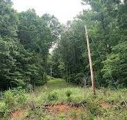 200 Greasy Cove Road Cosby, TN 37722 - Photo 1 of 1