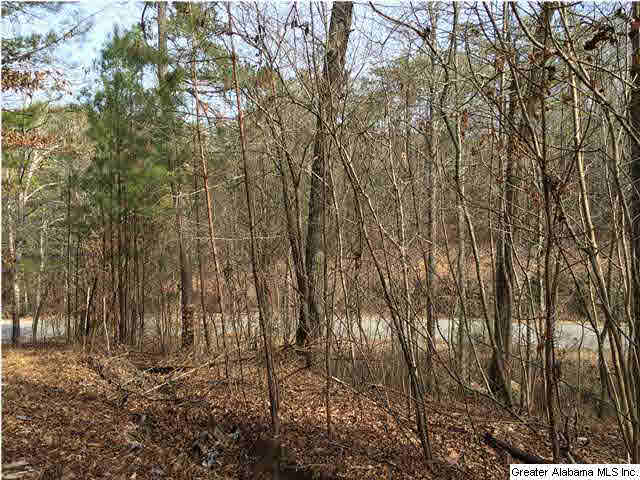 734 Valley Grove Road, Unit 15 4 ACR Remlap, AL 35133 - Photo 27 of 32