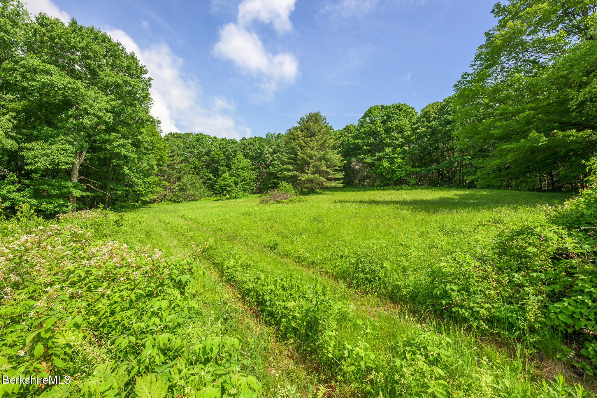 161 Beartown Mountain Road Monterey, MA 01245 - Photo 56 of 60 Screen - 161 Beartown Mountain Rd Great