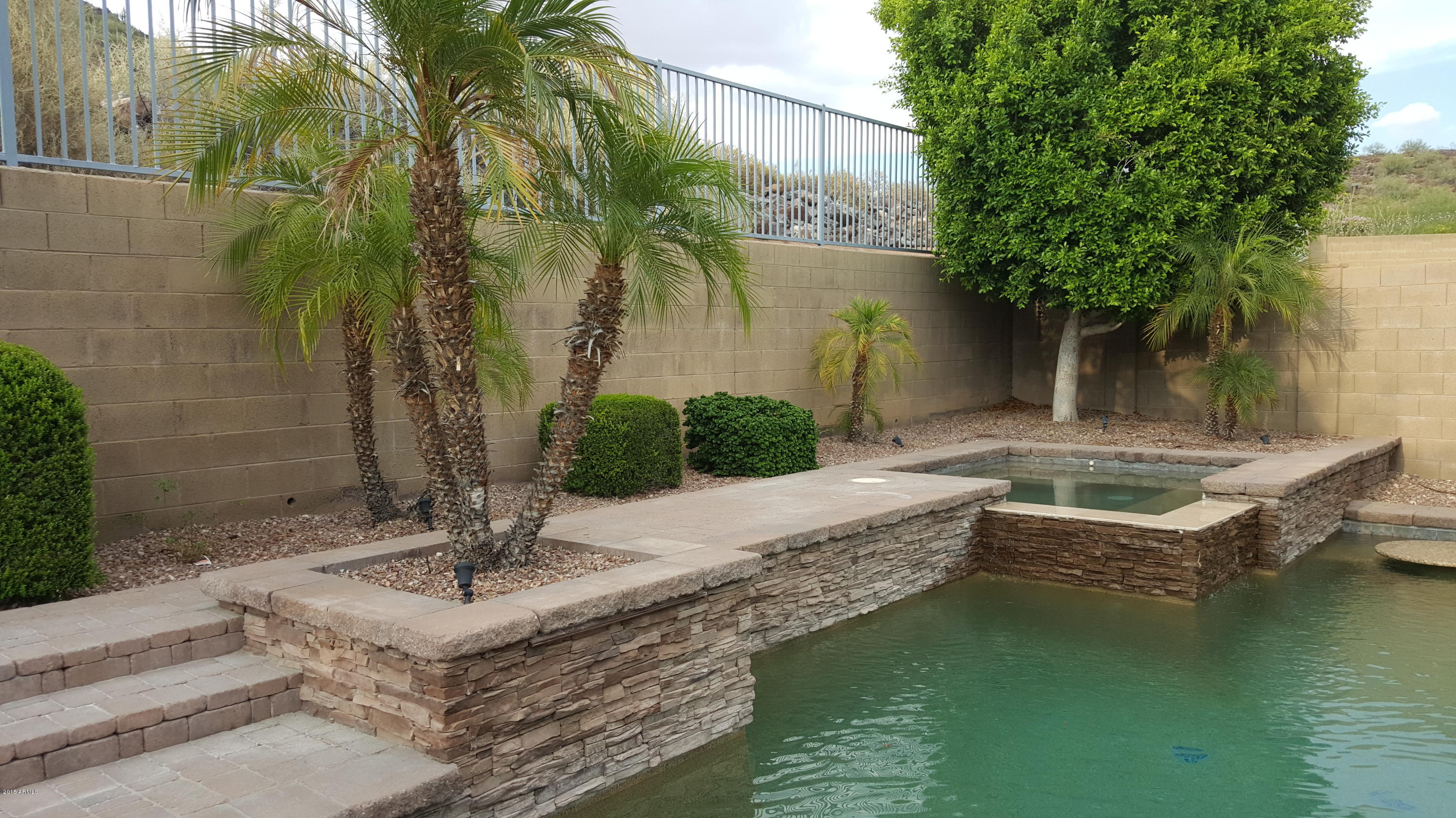 4530 West Rowel Road Phoenix, AZ 85083 - Photo 59 of 86 BackPool_20150719_181853