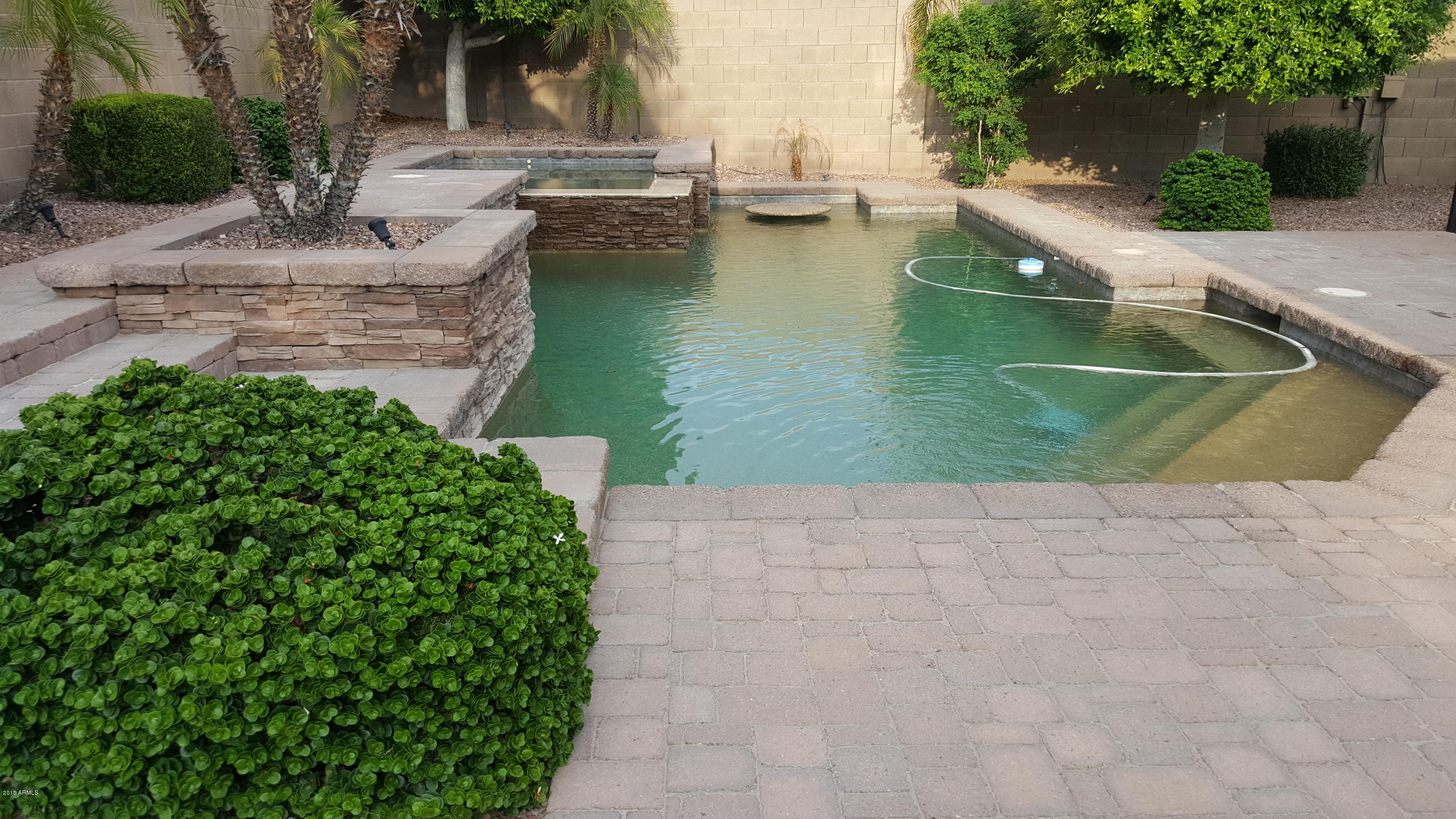 4530 West Rowel Road Phoenix, AZ 85083 - Photo 60 of 86 BackYdPool_Straight_20150719_181910