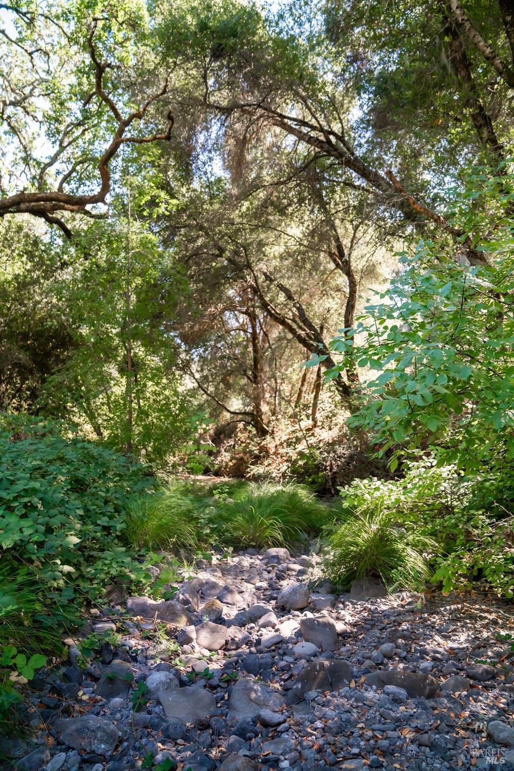 0 Mount Veeder Rd Street Napa, CA 94558 - Photo 19 of 26