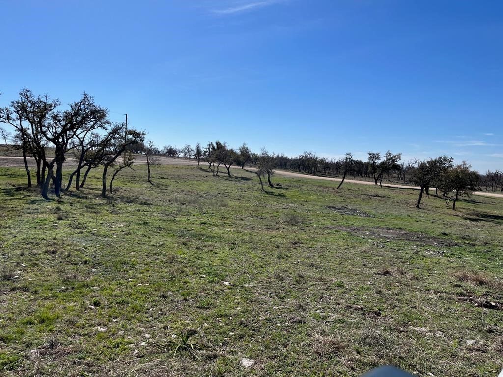 Lot 7 Jung Road, Unit 7 Harper, TX 78631 - Photo 11 of 14