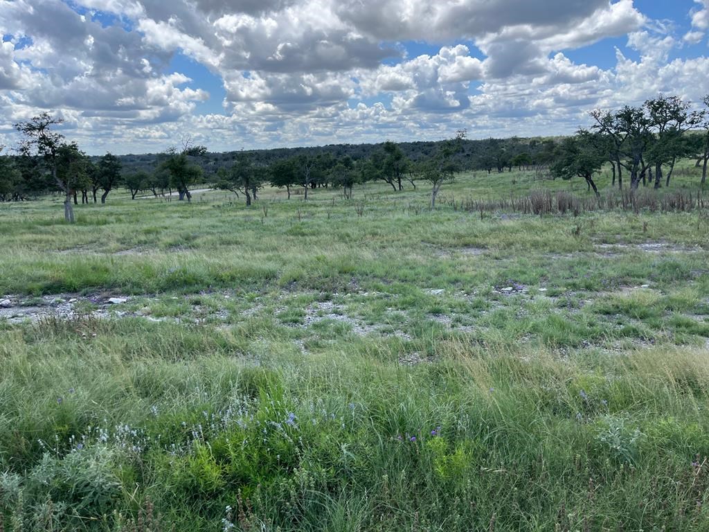 Lot 7 Jung Road, Unit 7 Harper, TX 78631 - Photo 12 of 14