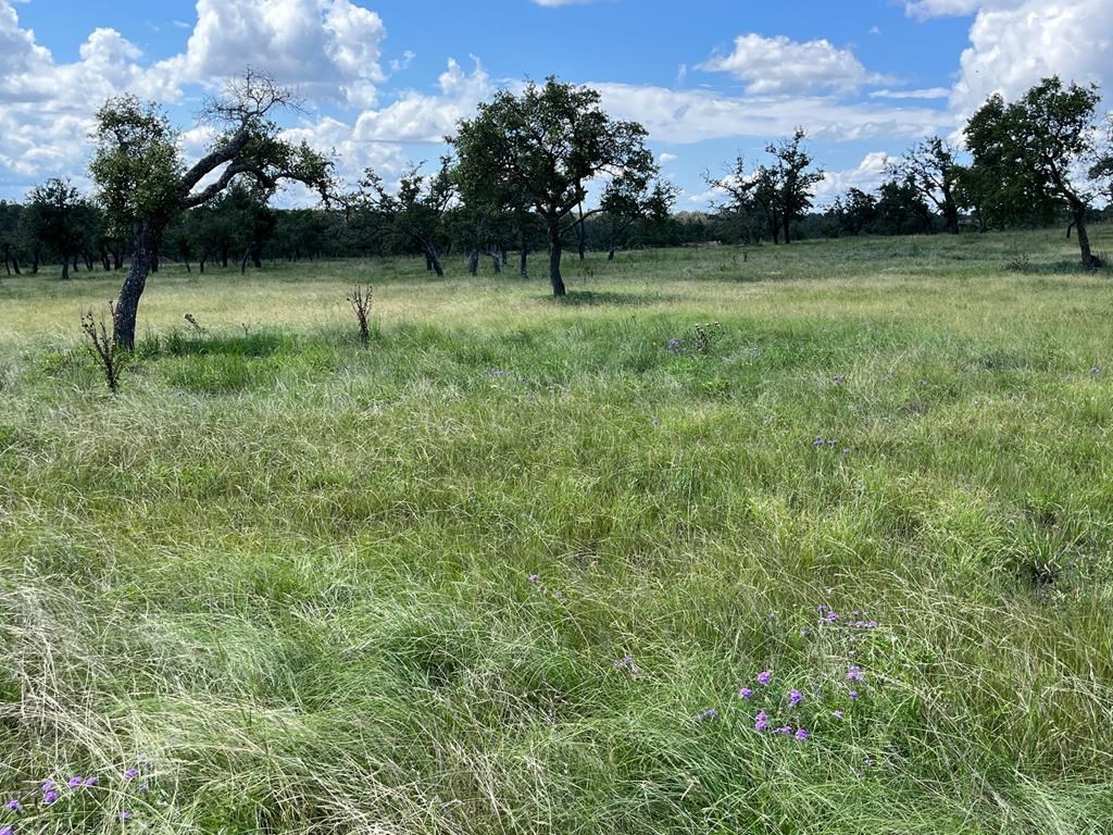 Lot 7 Jung Road, Unit 7 Harper, TX 78631 - Photo 13 of 14