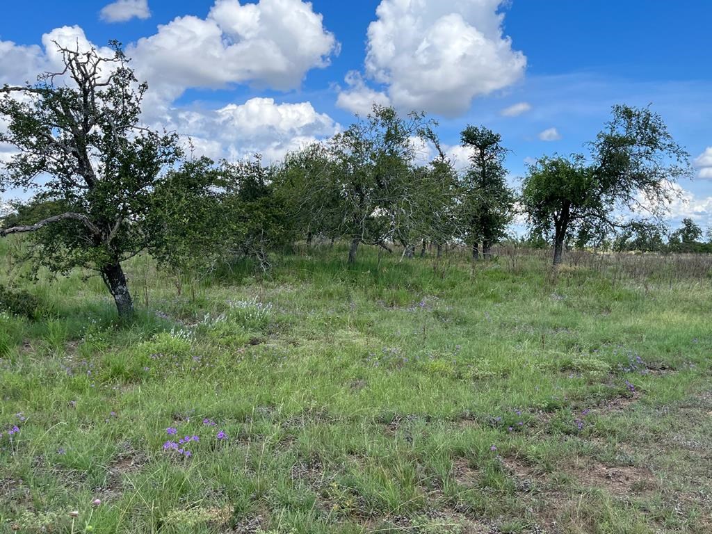 Lot 7 Jung Road, Unit 7 Harper, TX 78631 - Photo 14 of 14