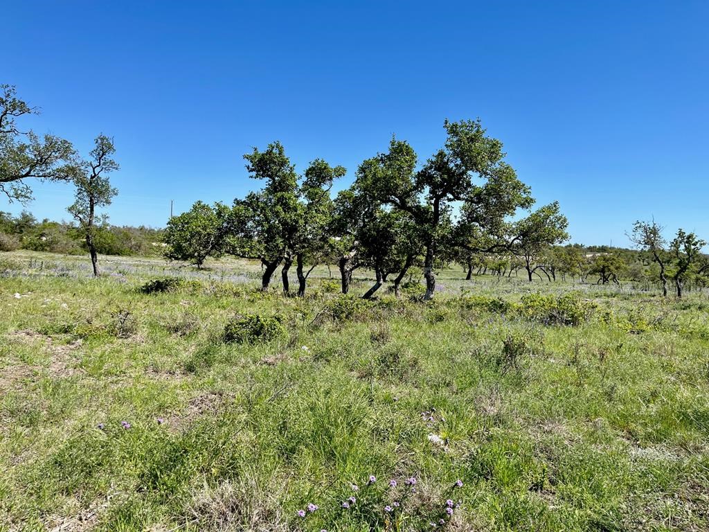 Lot 7 Jung Road, Unit 7 Harper, TX 78631 - Photo 2 of 14