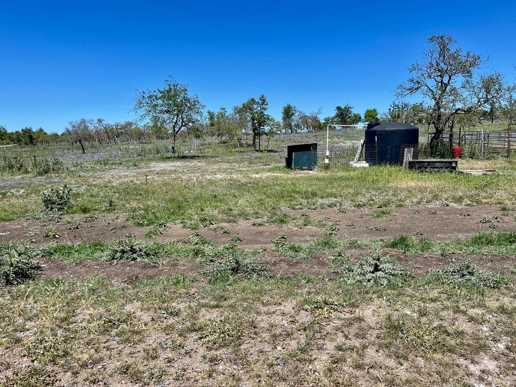 Lot 7 Jung Road, Unit 7 Harper, TX 78631 - Photo 4 of 14