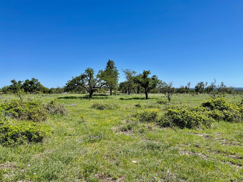 Lot 7 Jung Road, Unit 7 Harper, TX 78631 - Photo 6 of 14