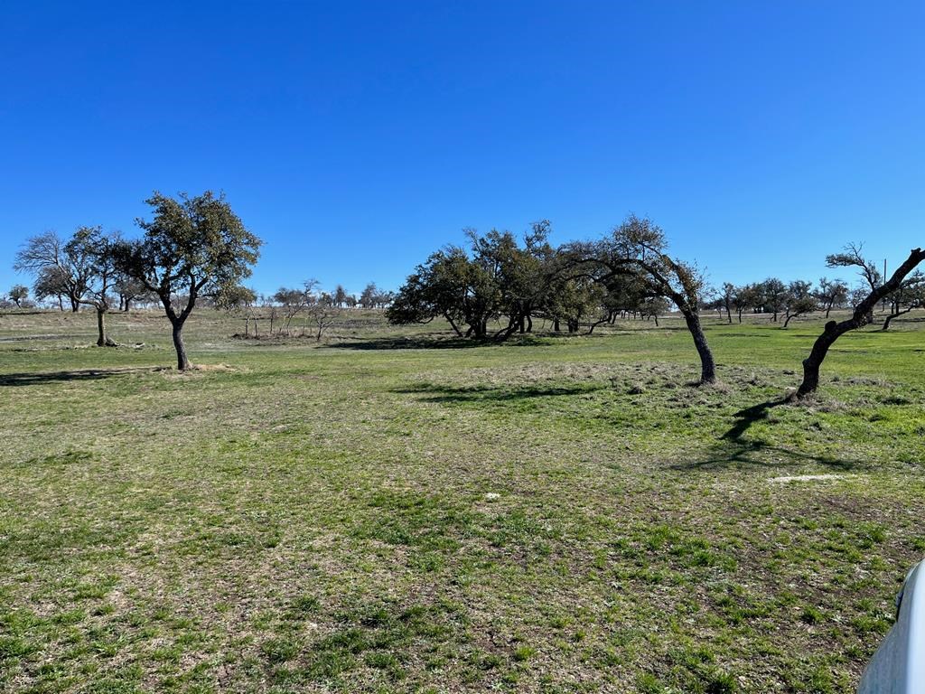 Lot 7 Jung Road, Unit 7 Harper, TX 78631 - Photo 8 of 14