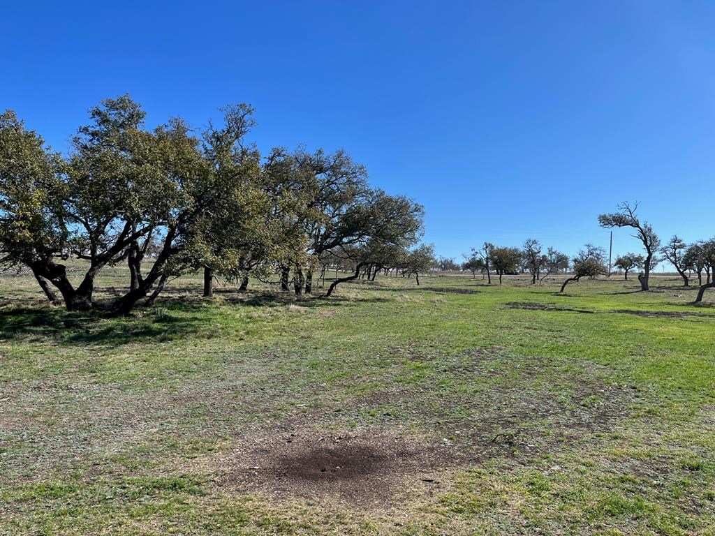 Lot 7 Jung Road, Unit 7 Harper, TX 78631 - Photo 10 of 14