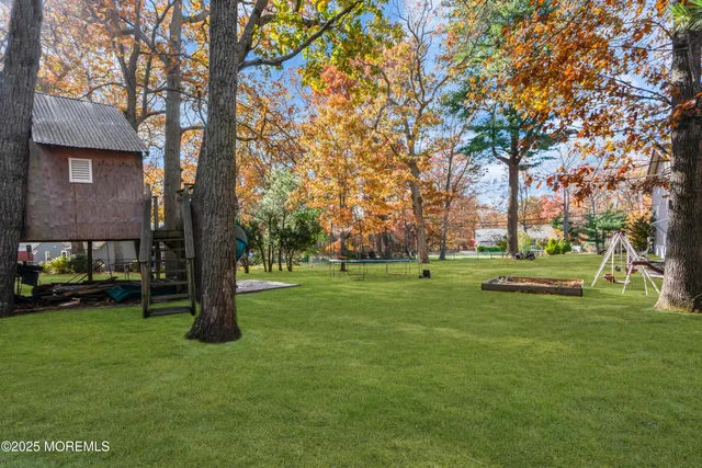 a view of a park with large trees