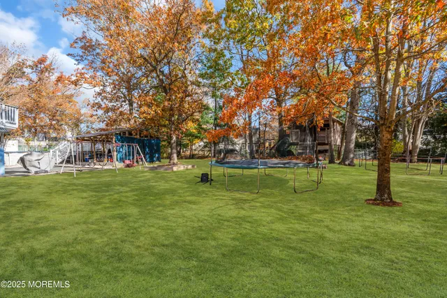 a view of a park with large trees