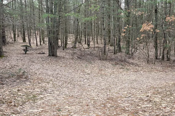 $165,000 | 0 East Del Vandell Road, Chase, MI 49623