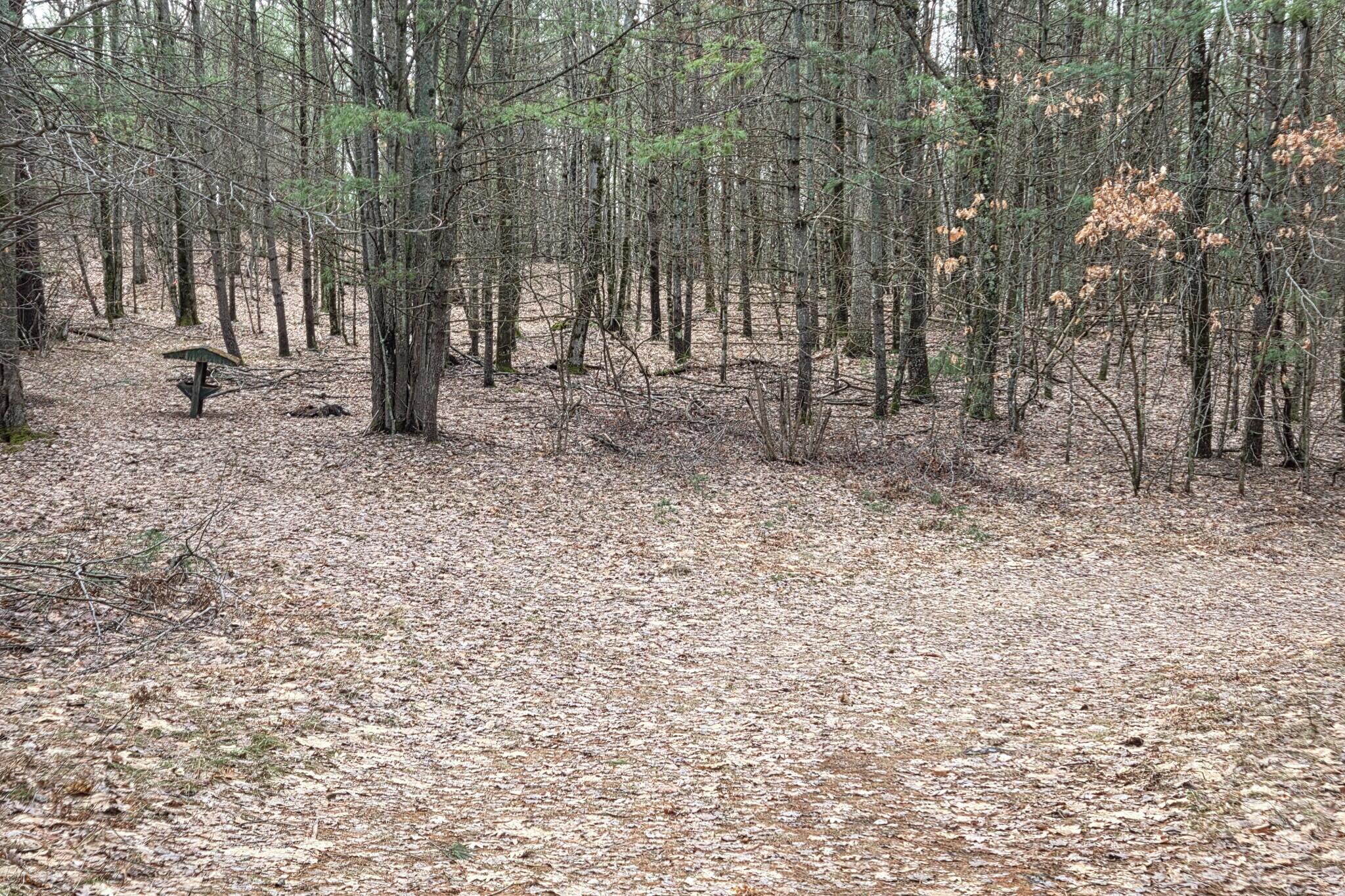 0 East Del Vandell Road Chase, MI 49623 - Photo 17 of 50 resized_20260403_171048