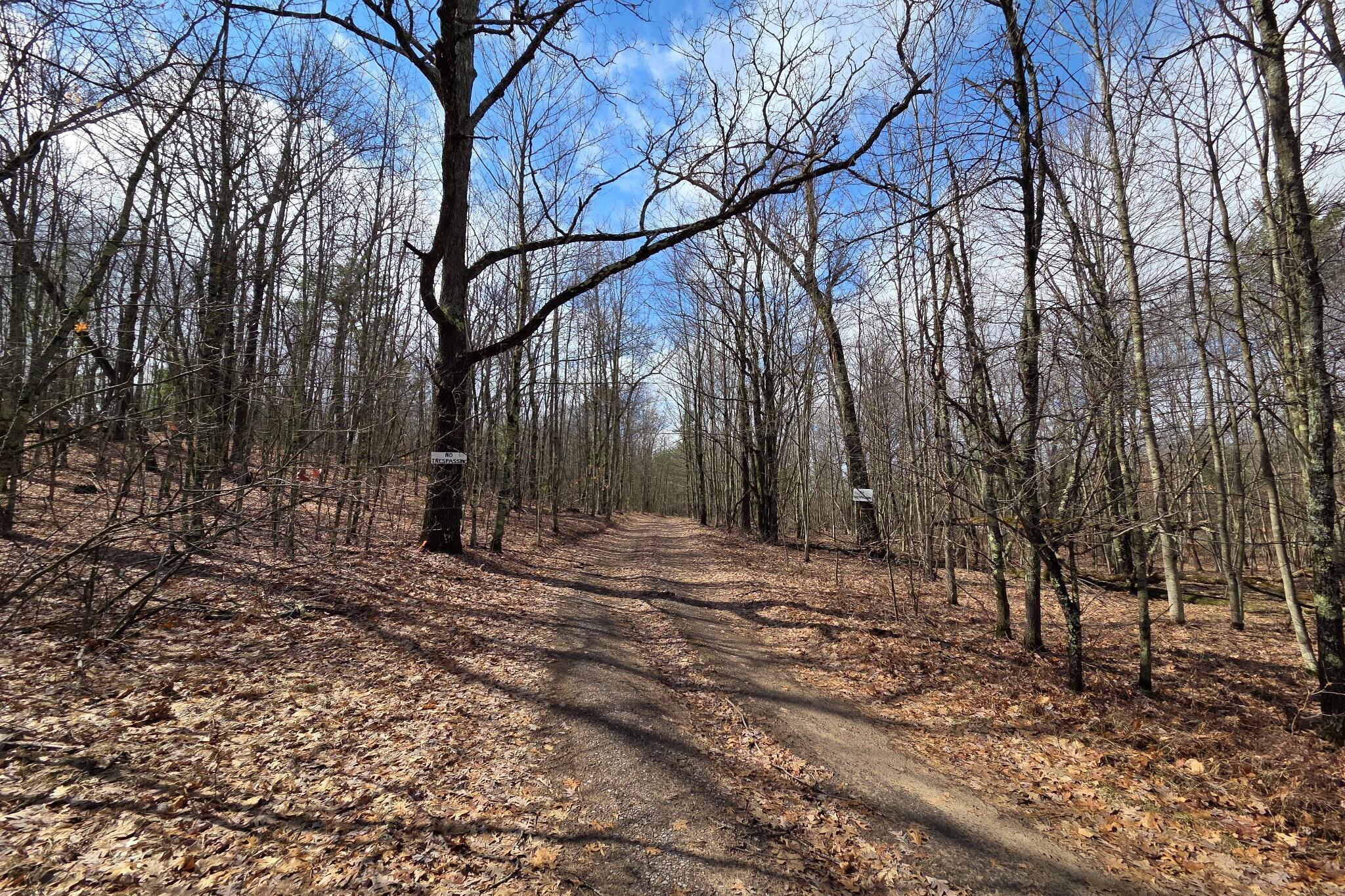 0 East Del Vandell Road Chase, MI 49623 - Photo 20 of 50 resized_20260403_152635