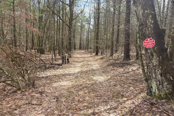 $165,000 | 0 East Del Vandell Road, Chase, MI 49623