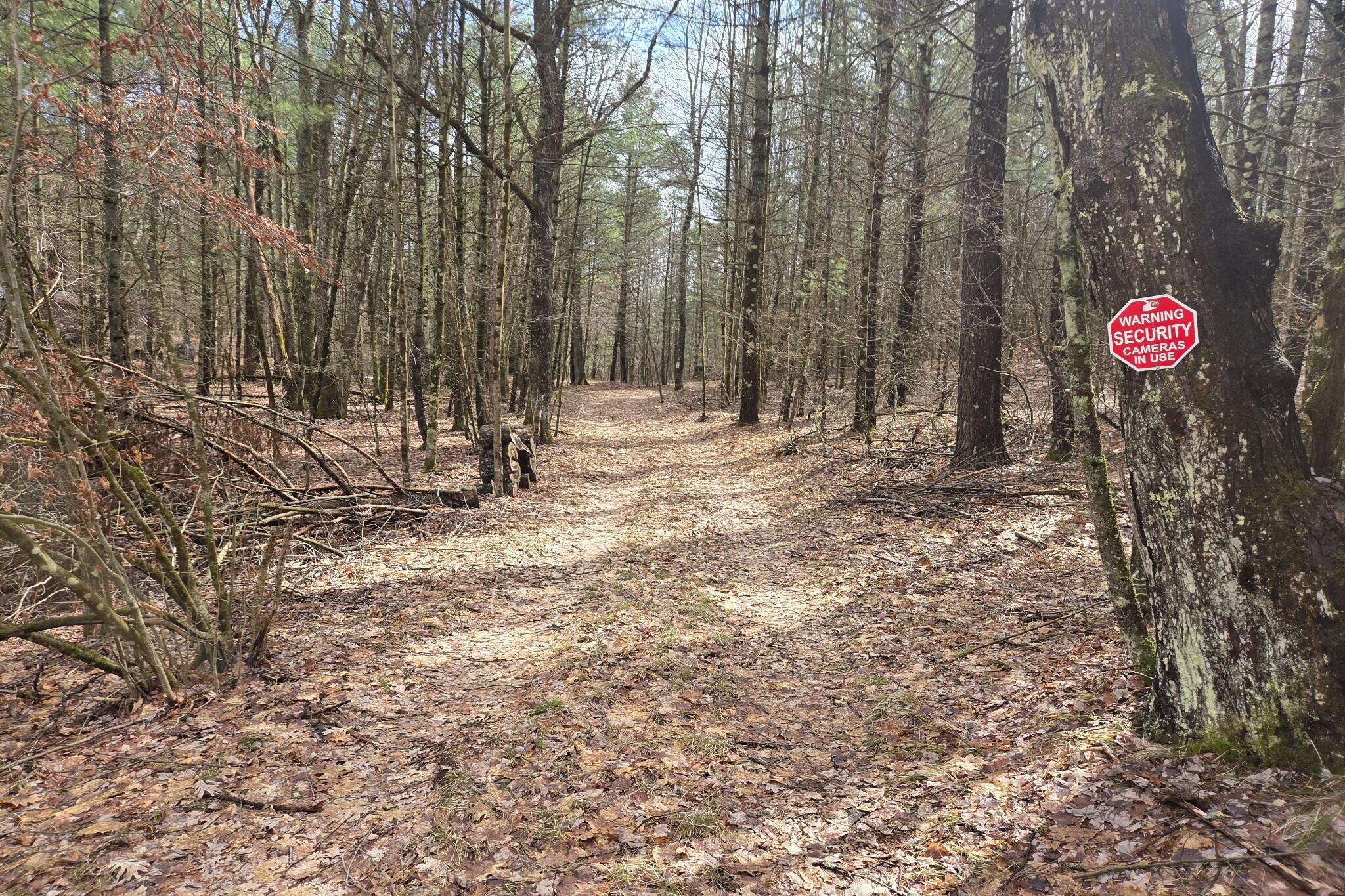 0 East Del Vandell Road Chase, MI 49623 - Photo 21 of 50 resized_20260403_153622