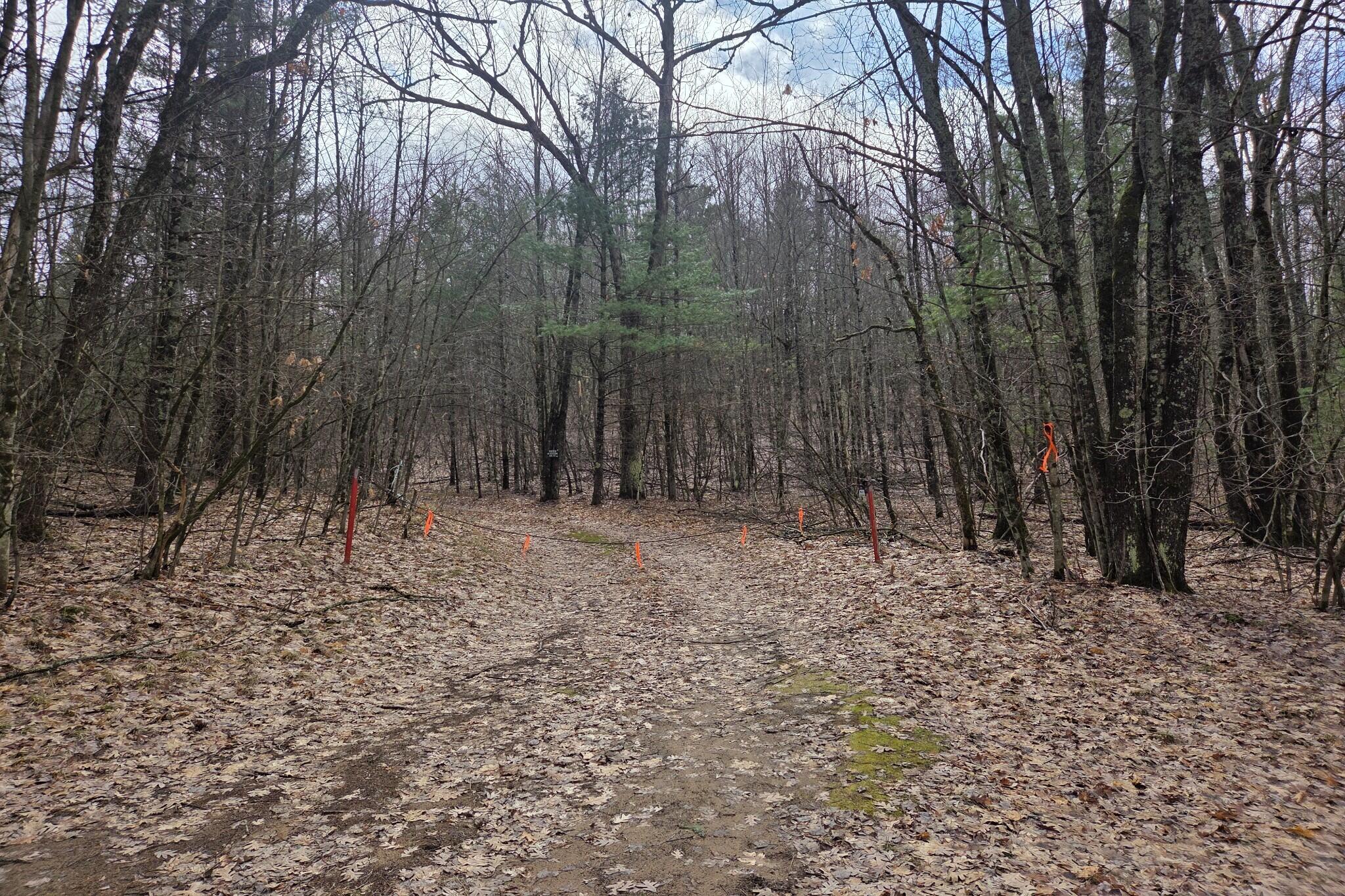 0 East Del Vandell Road Chase, MI 49623 - Photo 22 of 50 resized_20260403_153053