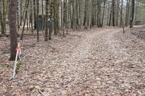 $165,000 | 0 East Del Vandell Road, Chase, MI 49623