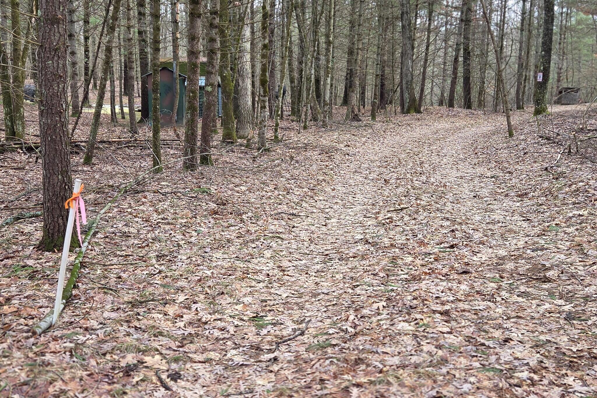 0 East Del Vandell Road Chase, MI 49623 - Photo 23 of 50 resized_20260403_172719