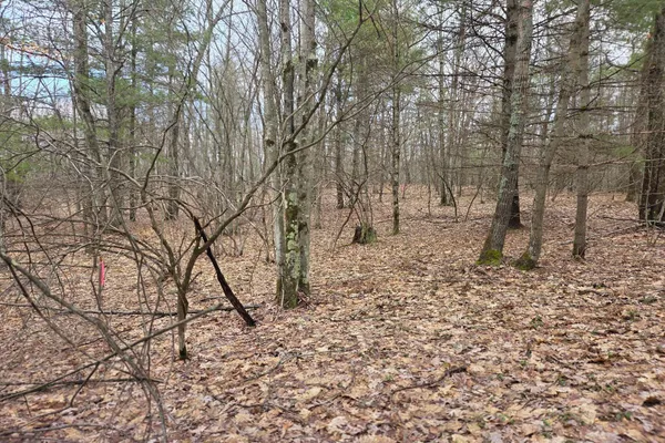 $165,000 | 0 East Del Vandell Road, Chase, MI 49623