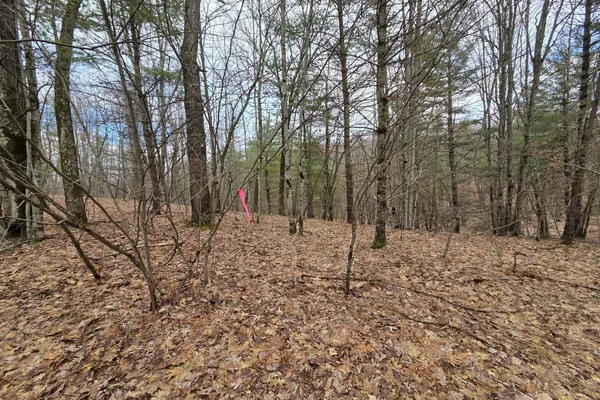 $165,000 | 0 East Del Vandell Road, Chase, MI 49623