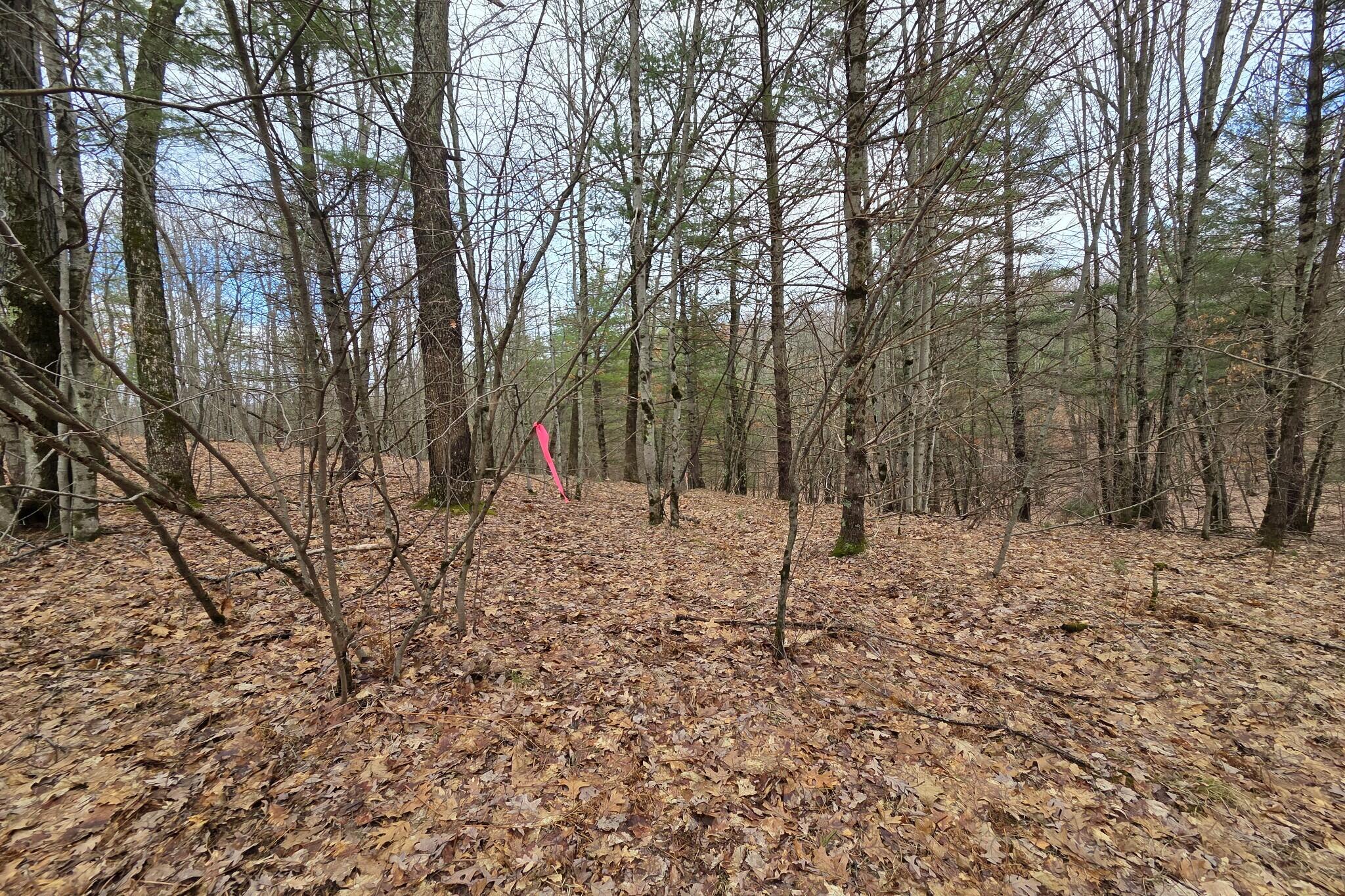 0 East Del Vandell Road Chase, MI 49623 - Photo 29 of 50 resized_20260403_160127