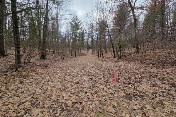 $165,000 | 0 East Del Vandell Road, Chase, MI 49623