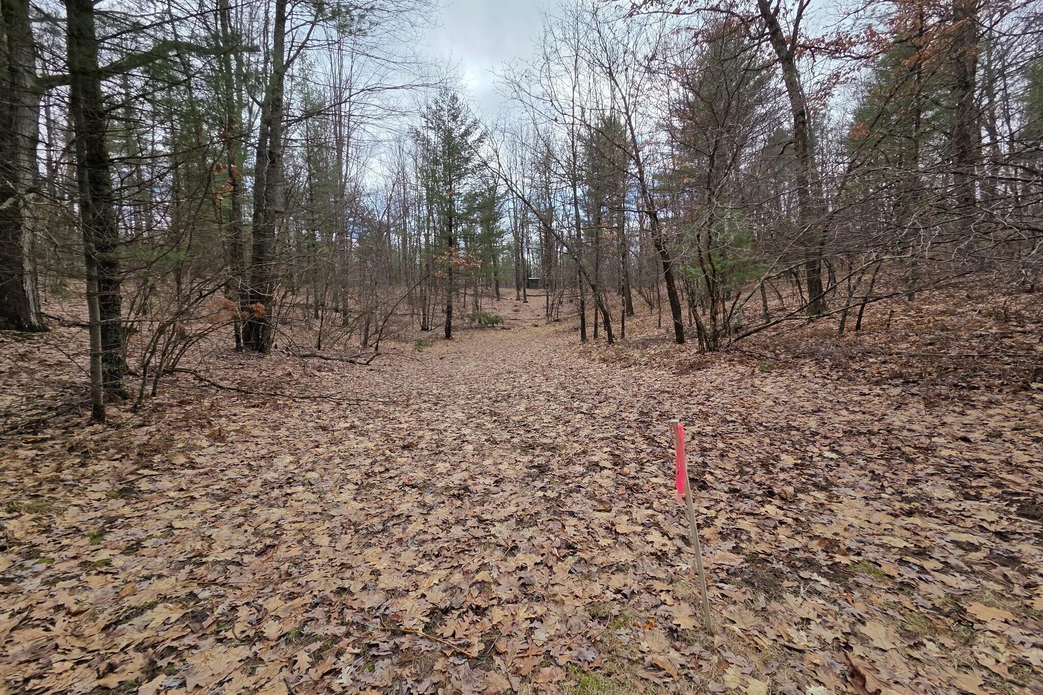 0 East Del Vandell Road Chase, MI 49623 - Photo 30 of 50 resized_20260403_160255