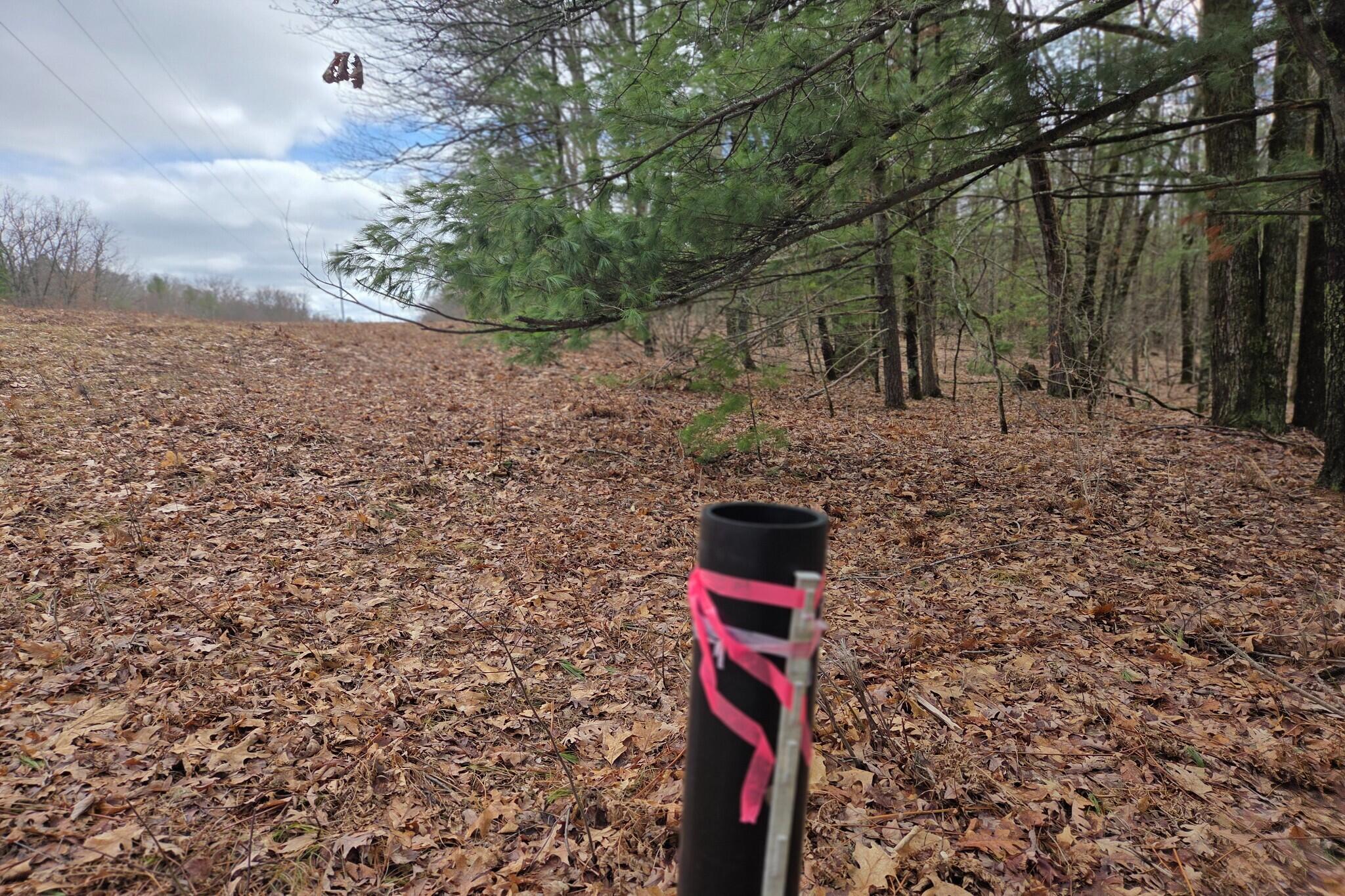 0 East Del Vandell Road Chase, MI 49623 - Photo 31 of 50 resized_20260403_160516