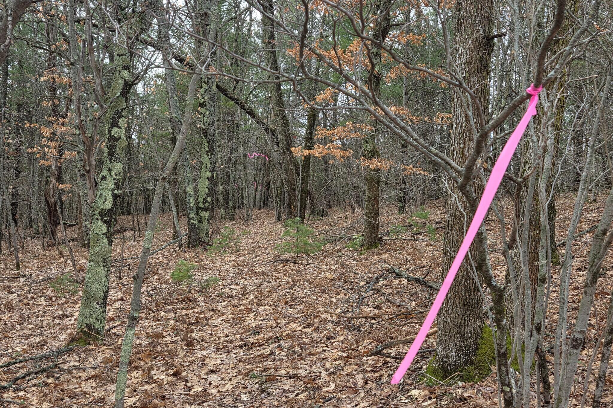 0 East Del Vandell Road Chase, MI 49623 - Photo 32 of 50 resized_20260403_160825