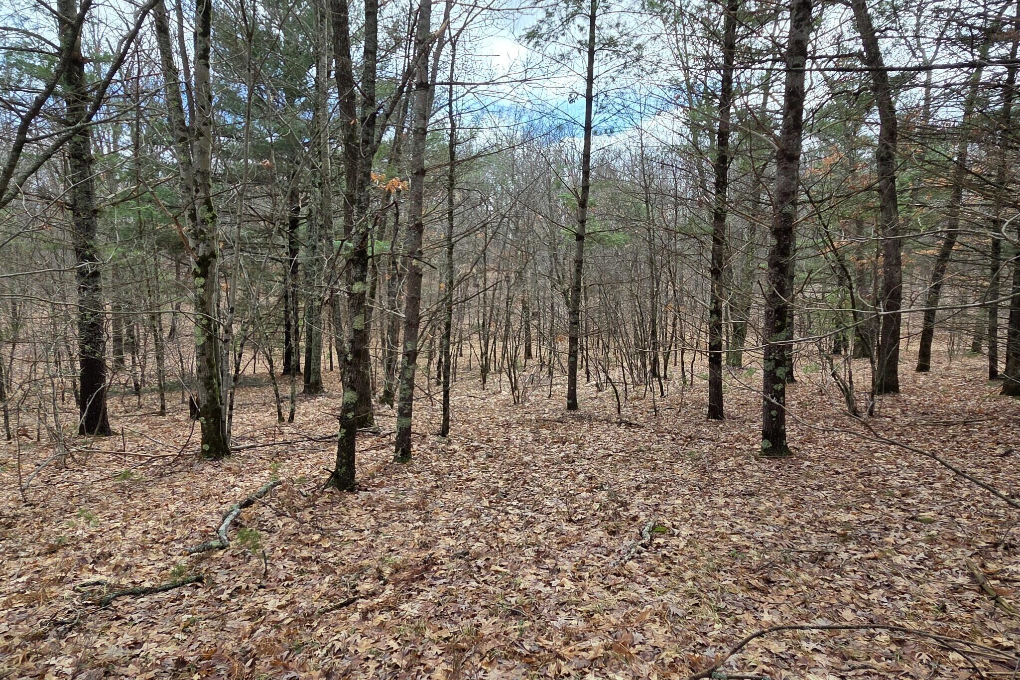 0 East Del Vandell Road Chase, MI 49623 - Photo 33 of 50 resized_20260403_160858