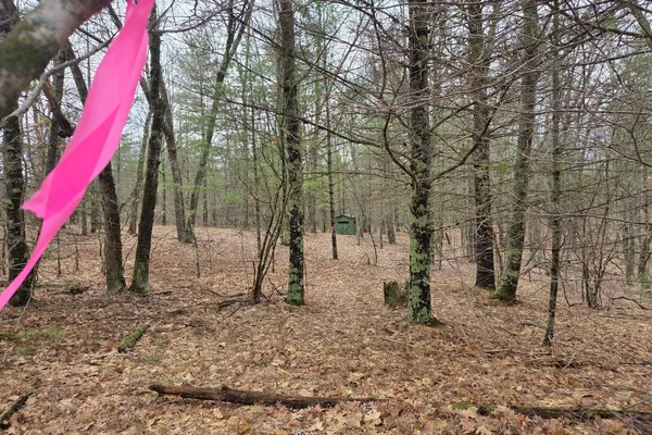 $165,000 | 0 East Del Vandell Road, Chase, MI 49623