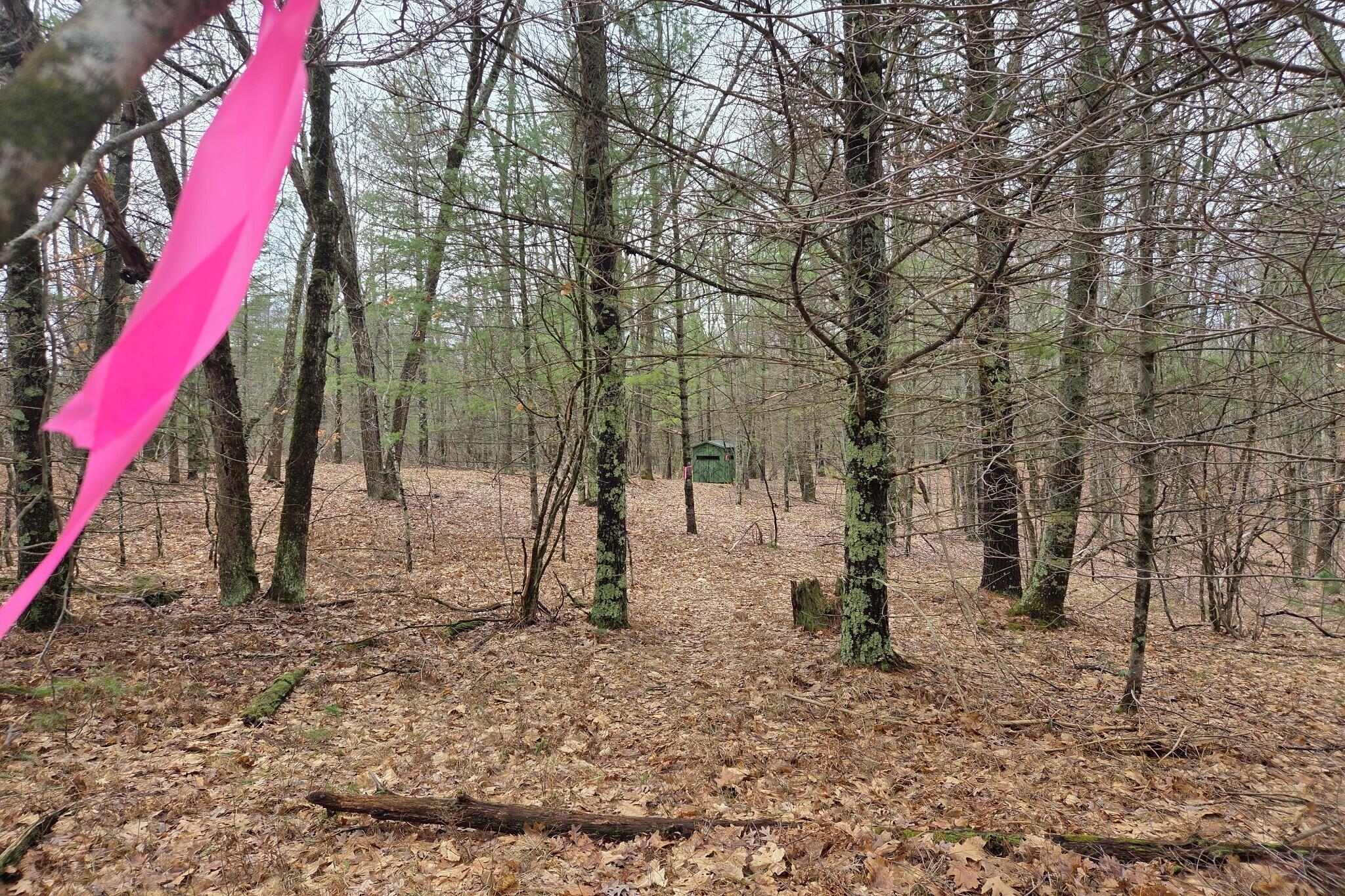 0 East Del Vandell Road Chase, MI 49623 - Photo 34 of 50 resized_20260403_161023