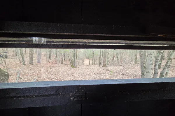 $165,000 | 0 East Del Vandell Road, Chase, MI 49623