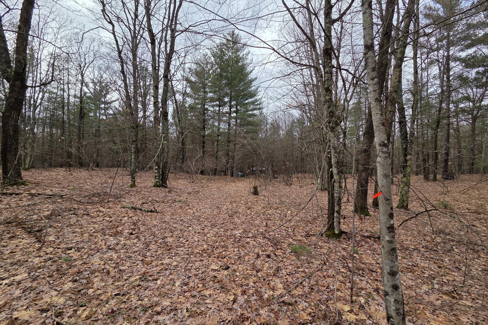 0 East Del Vandell Road Chase, MI 49623 - Photo 36 of 50 resized_20260403_161156