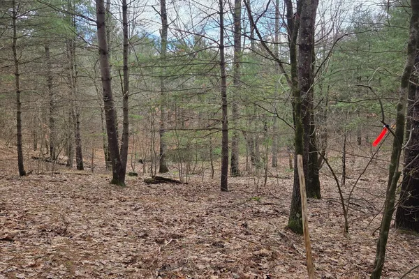 $165,000 | 0 East Del Vandell Road, Chase, MI 49623