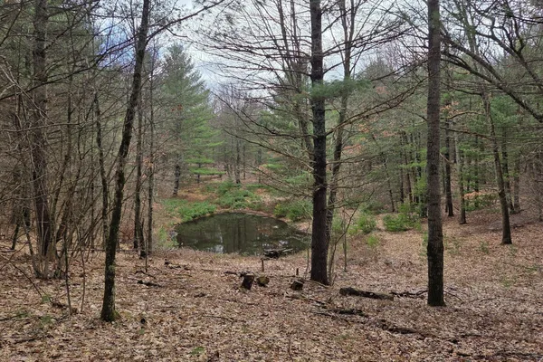$165,000 | 0 East Del Vandell Road, Chase, MI 49623