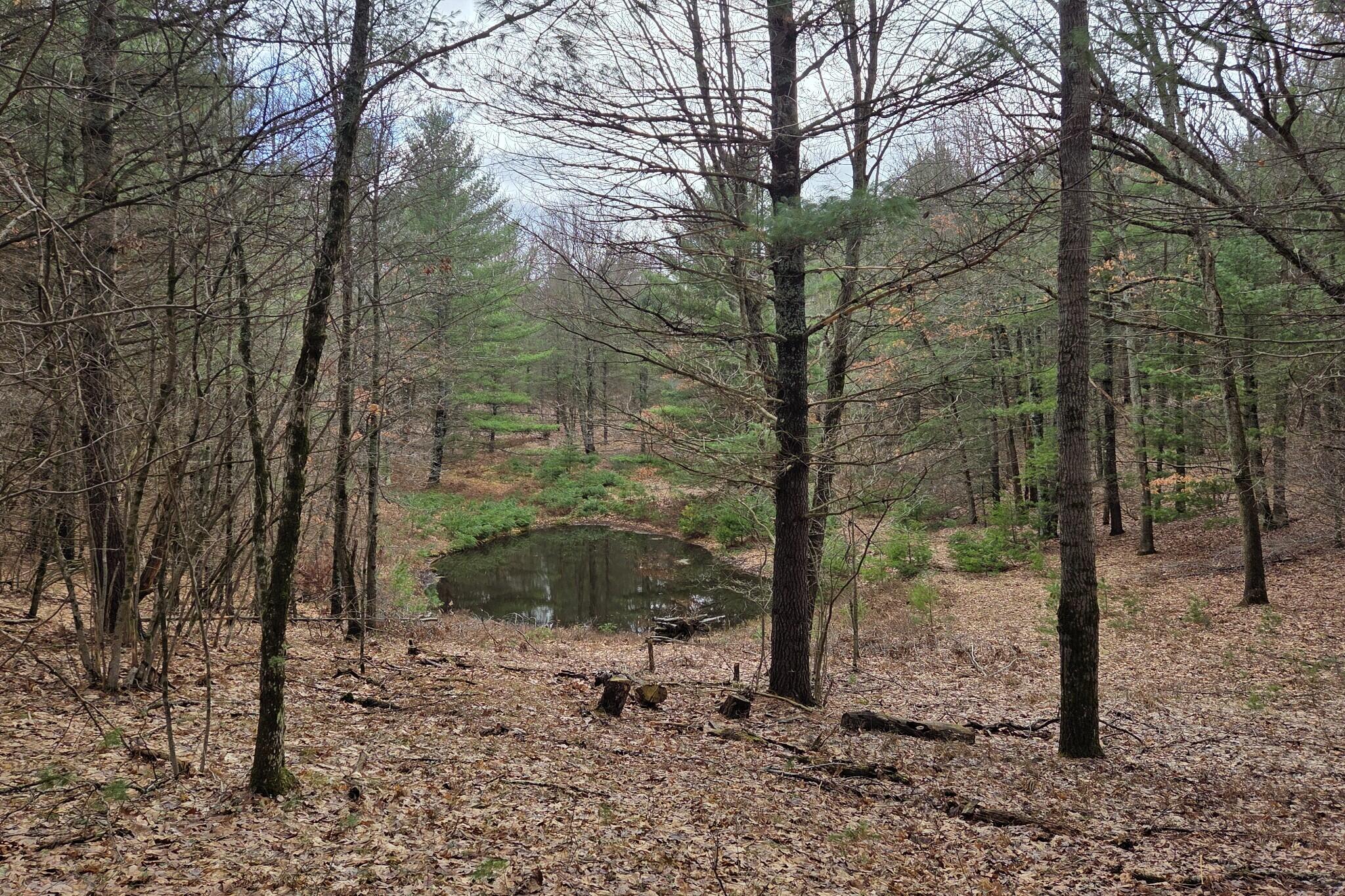 0 East Del Vandell Road Chase, MI 49623 - Photo 38 of 50 resized_20260403_161422