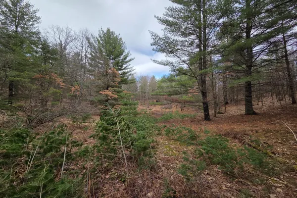 $165,000 | 0 East Del Vandell Road, Chase, MI 49623