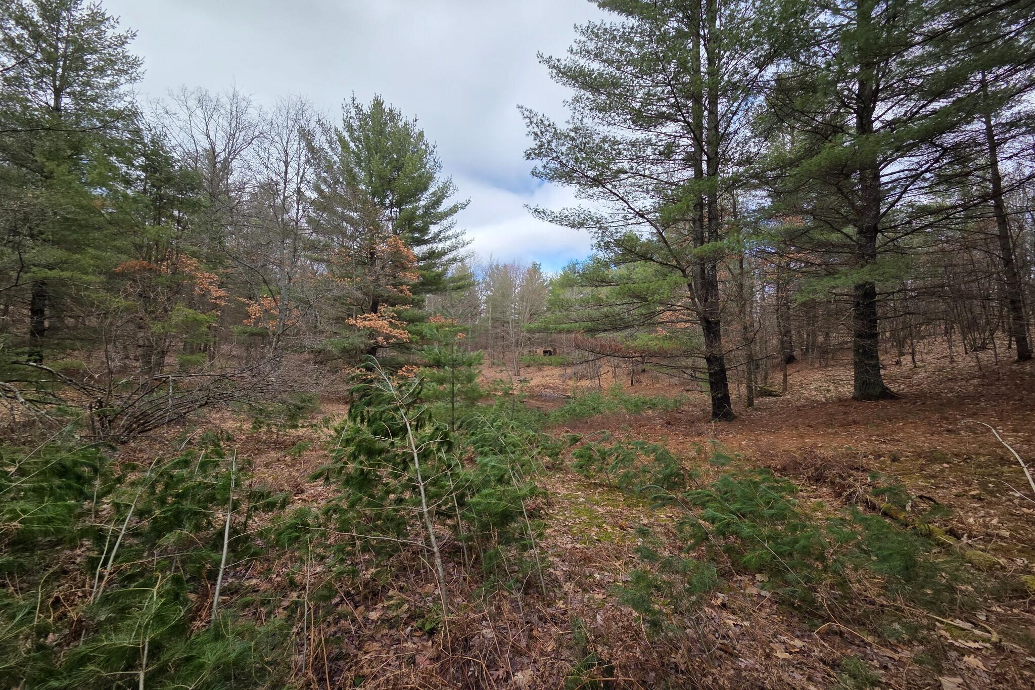 0 East Del Vandell Road Chase, MI 49623 - Photo 40 of 50 resized_20260403_161720