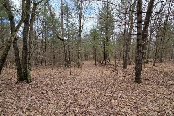 $165,000 | 0 East Del Vandell Road, Chase, MI 49623