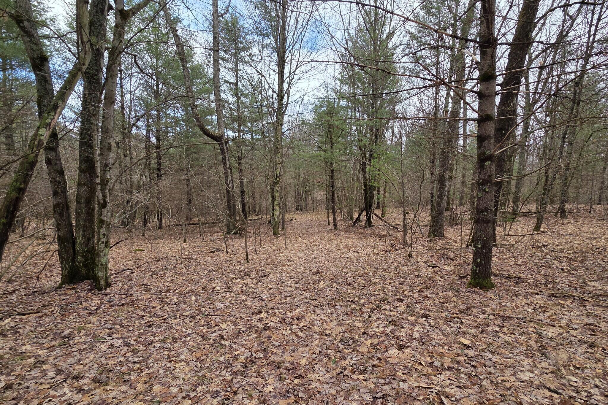 0 East Del Vandell Road Chase, MI 49623 - Photo 41 of 50 resized_20260403_162011