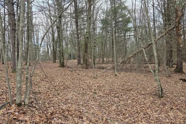 $165,000 | 0 East Del Vandell Road, Chase, MI 49623
