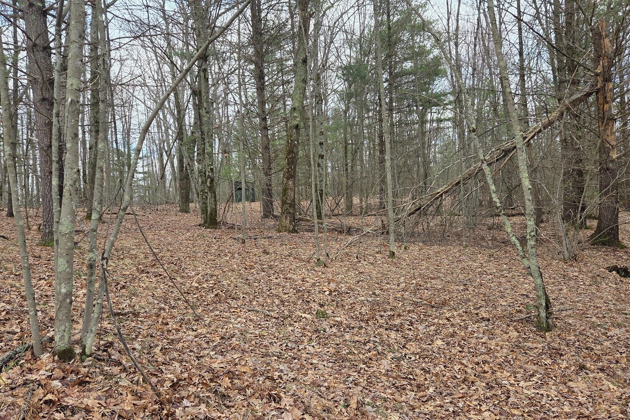 0 East Del Vandell Road Chase, MI 49623 - Photo 42 of 50 resized_20260403_162241