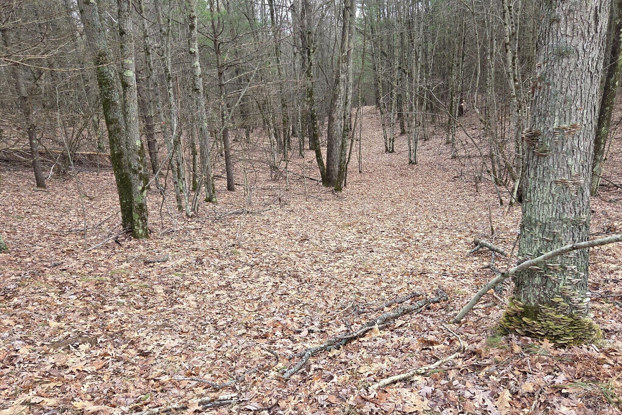 0 East Del Vandell Road Chase, MI 49623 - Photo 43 of 50 resized_20260403_162250