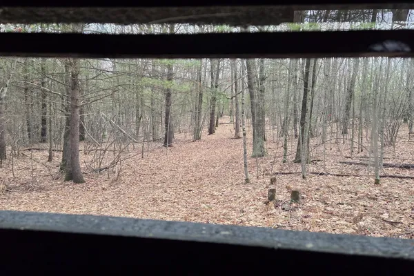 $165,000 | 0 East Del Vandell Road, Chase, MI 49623