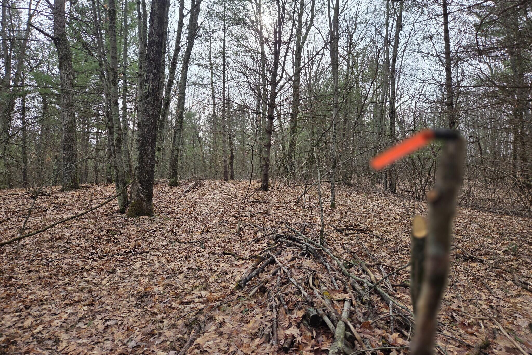 0 East Del Vandell Road Chase, MI 49623 - Photo 45 of 50 resized_20260403_171223