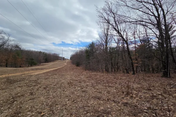 $165,000 | 0 East Del Vandell Road, Chase, MI 49623